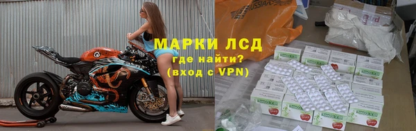 PSILOCYBIN Карталы