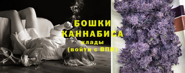 PSILOCYBIN Карталы
