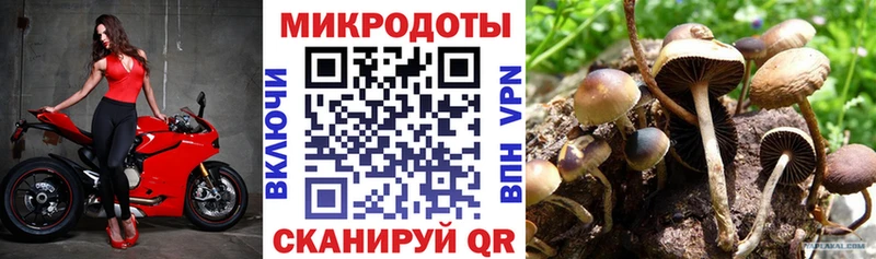 Купить  Гремячинск  Псилоцибиновые грибы MAGIC MUSHROOMS 